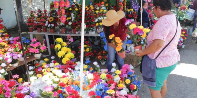 Estos son los precios oficiales de las flores para el Día de Muertos – Cafe  Negro Portal